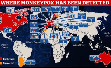 Lija e majmunëve “pushton” Anglinë,  çfarë i shqetëson më shumë ekspertët