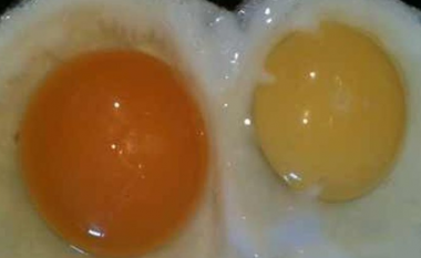 Nëse shikoni këtë ngjyrë te veza të cilën po e gatuani, mos e konsumoni, ja pse