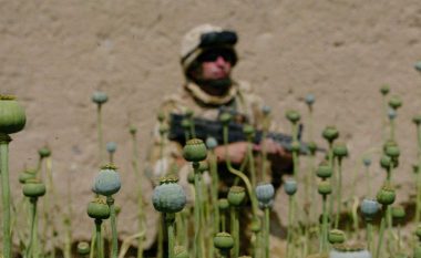 ANALIZA: Lidhja tragjike midis drogës dhe luftës