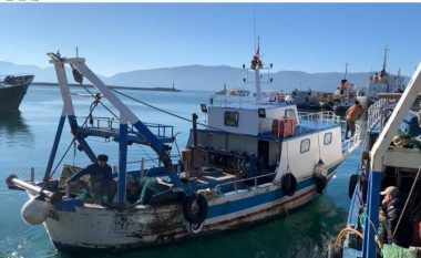 Peshkatarët e Vlorës pa punë: Do rrisim pula