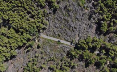 Gjenden eshtra te Pylli i Sodës në Vlorë, reagon policia