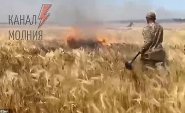 Beteja për bukën: Rusët djegin arat me grurë, ushtarët ukrainas fikin flakët (VIDEO)