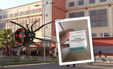 50-vjeçarin e pickoi merimanga e zezë në Rrogozhinë, QSUT: E kemi kundërhelmin