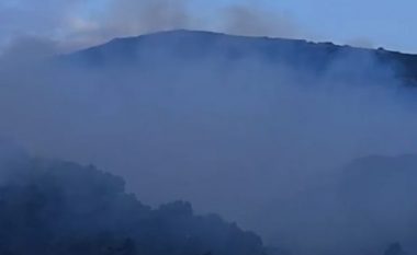Sazani prej 3 ditësh në flakë, Peleshi jep lajmin e mirë: Neutralizohen 14 vatra (VIDEO)