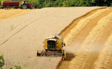 “Turqia po blen grurin e vjedhur nga Rusia në Ukrainë”