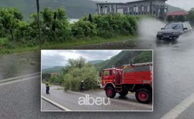 Moti i keq rrëzon pemën në aksin Elbasan – Librazhd, bllokohet qarkullimi në njërën korsi (VIDEO)