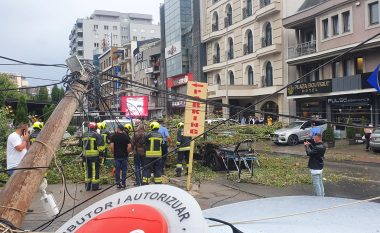 Era e fortë rrëzon pemën, zë poshtë dy persona në Prishtinë