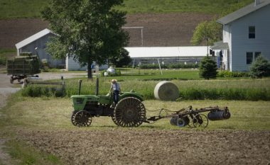 FAO: Mbështetja direkte për fermerët në Shqipëri, 18 herë më e ulët se në rajon