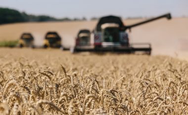 Eksporti i drithërave, Ukraina mund të eksportojë 3 milion tonë nga portet e saj në shtator