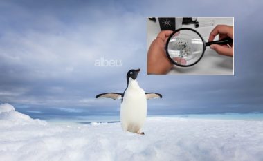 Gjendet për herë të parë mikroplastikë në borën e sapo rënë në Antarktidë