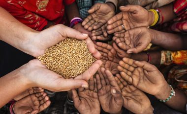 OKB paralajmëron: Disa vende do të përballen me mungesë ushqimi