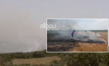 Zjarr në dy fshatra në Vlorë, digjet një sipërfaqe me grurë dhe parcela me ullinj (VIDEO)