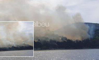 Përfshihet nga zjarri Ishulli i Sazanit, mobilizohen forcat e ushtrisë për shuarjen e flakëve (VIDEO)