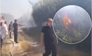 Zjarr në një sipërfaqe toke në Roskovec, rrezikohen banesat