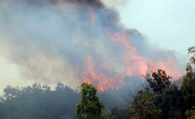 Zjarri i madh në malin e Torrovicës në Lezhë, digjen 15 hektarë pyll, rrezikohen dy banesat e fshatit