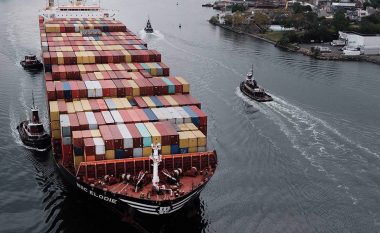 Ndihma për eksportin e grurit, mediat ukrainase: Numri i anijeve të huaja në Danub është dyfishuar