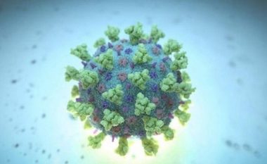 SIMPTOMAT/ OBSH shpall shpërthimin e ri të virusit vdekjeprurës Marburg