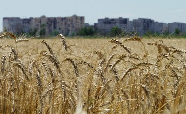 Zhbllokimi i eksporteve të grurit ukrainas, Borrell: Çështje “jete a vdekje” për shumë qenie njerëzore