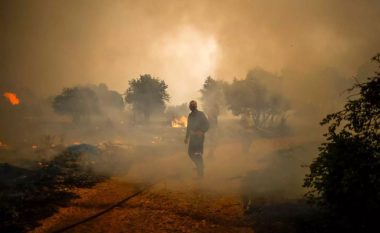 Zjarre masive në Greqi, zjarrfikësi humb ndjenjat në krye të detyrës (VIDEO)