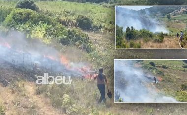 Zjarr në Peshtan Bregas të Fierit, rrezikohen ullishtat (VIDEO)