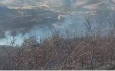 Shuhet vatra e zjarrit në Selenicë, 30 hektarë ullinj dhe 1 banesë e djegur