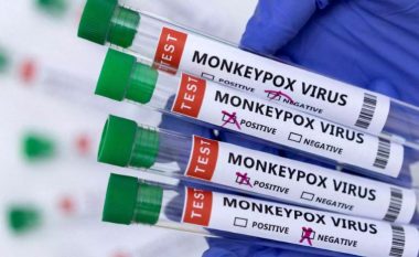Holandë, fillon vaksinimi kundër lisë së majmunit