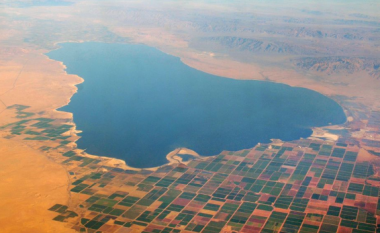 E frikshme në Kaliforni, liqeni helmon banorët me ajrin vdekjeprurës