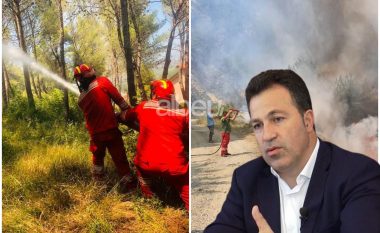 Zjarret në vend, Peleshi: Janë 6 vatra aktive, ku paraqitet situata më problematike