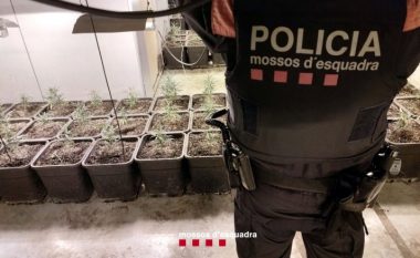 Goditet mafia shqiptare, trafikonin “bar” nga Tarragona, policia spanjolle arreston 14 persona