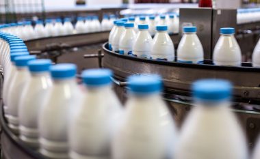 Industria e qumështit me rënie 7.4% në 2020-n, prodhuesit kanë paralajmëruar falimente