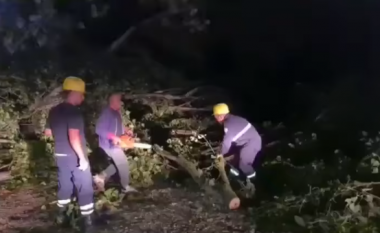 Stuhia rrëzon pemët në Sarandë, bllokohet aksi i vjetër Sarandë – Gjirokastër (VIDEO)