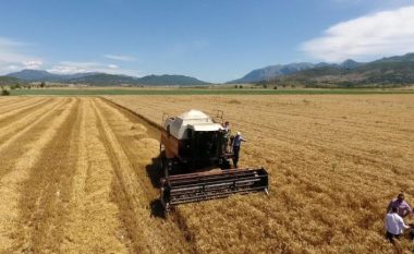 Kriza e “bukës”, Ukraina dhe Rusia firmosin në Stamboll marrëveshjen për eksportin e grurit