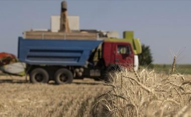 Eksportet e grurit ukrainas mund të rifillojnë këtë javë