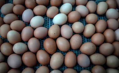 Për herë të parë pas 6 vitesh, importet e vezëve rriten me 25 herë