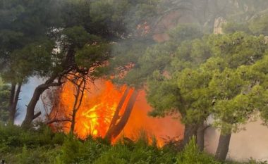 Zjarr në sipërfaqen e pyllit në Krastë të Krujës, dyshohet se është i qëllimshëm