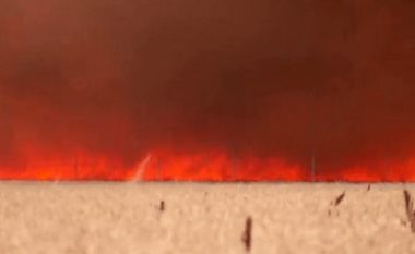 Temperatura ekstreme, momenti kur një burrë lufton me flakët dhe i shpëton zjarrit (VIDEO)