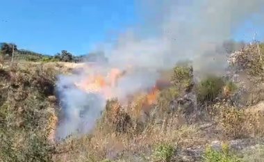 Zjarr masiv në pyjet e Krujës, zjarrfikëset drejt vendngjarjes (VIDEO)