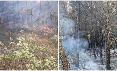 Përfshihet nga flakët mali pranë fabrikës së çimentos në Fushë-Krujë, digjen 5 ha pisha e shkurre