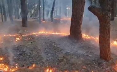Zjarri në Kepin e Rodonit, zjarrfikësit “dorëzohen” pasi bëjnë 8 kilometra rrugë në këmbë, shpresat te reshjet shiut