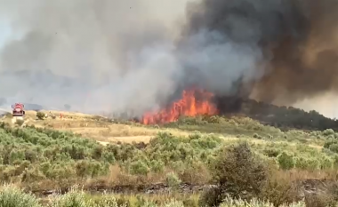 Shkrumboi 14 hektarë ullishte, shuhet zjarri në Libofshë të Fierit