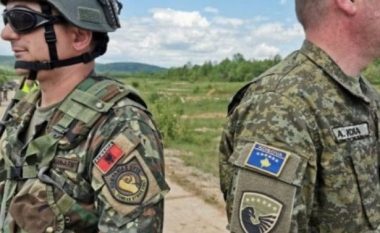 Shqipëria në luftë nëse preket Kosova, Osmani paralajmëron traktatin e mbrojtjes së ndërsjellë
