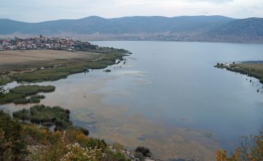 EMRI/ 40-vjeçari u fut për t’u larë në liqenin e Prespës së Madhe, shokët e nxorën të pajetë