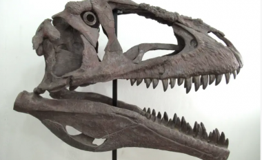 Jetoi 100 milion vjet më parë, zbulohet fosili i dinozaurit në Argjentinë