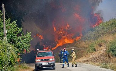 “Më pëlqen të shoh zjarrëfikësit kur i shuajnë”,  10-vjeçari flet “troç” pasi i vuri flakën pemëve