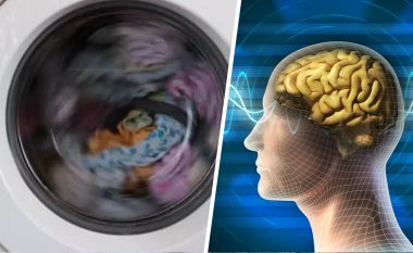 Çfarë kanë të përbashkët truri i njeriut dhe një lavatriçe?