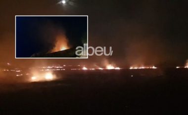 Përfshihen nga zjarri tokat pranë autostradës, në Novoselë (VIDEO)