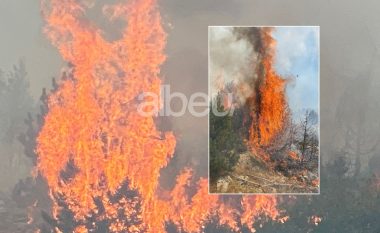 Zjarr i përmasave të mëdha në Mat, zjarrfikësja e ka të pamundur ndërhyrjen, tentohet fikja me pompa shpine (VIDEO)
