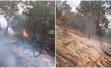 Zjarr në Memaliaj, digjen sipërfaqe të tëra me pyje e shkurre (VIDEO)