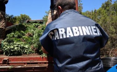 Plantacion me marijuanë në mes të pyllit në Itali, në pranga dy shqiptarë