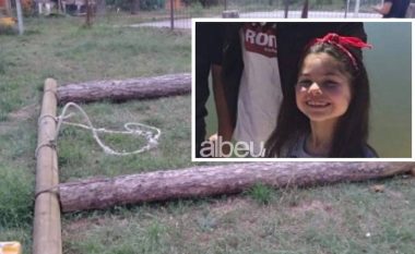 Lisharsja i mori jetën, thirrja e fëmijëve për vogëlushen shqiptare: Alesia, të lutem zgjohu!